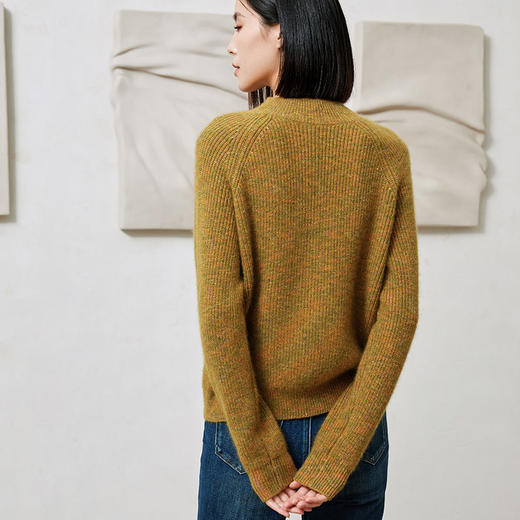 玳莎混色浣熊绒针织衫女秋新款半高领保暖斜门襟设计感毛衣  DD33319 商品图3