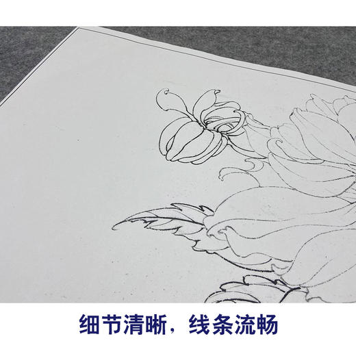 【大彩图】李晓明工笔画白描底稿小品《大丽菊》菊花临摹勾线花鸟线稿K102 商品图4