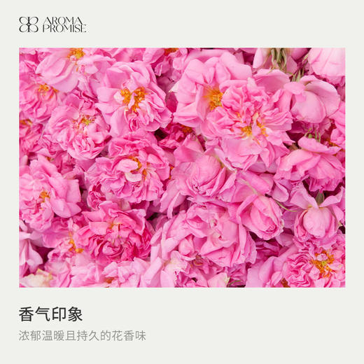 天长地久礼盒套装 真正薰衣草精油＋大马士革玫瑰精油＋葡萄籽油 商品图2