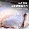 【到手3只】农家散养走地鸡 700g/只*3只 已净膛处理 肉质鲜嫩多汁 商品缩略图2