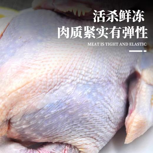 【到手3只】农家散养走地鸡 700g/只*3只 已净膛处理 肉质鲜嫩多汁 商品图2