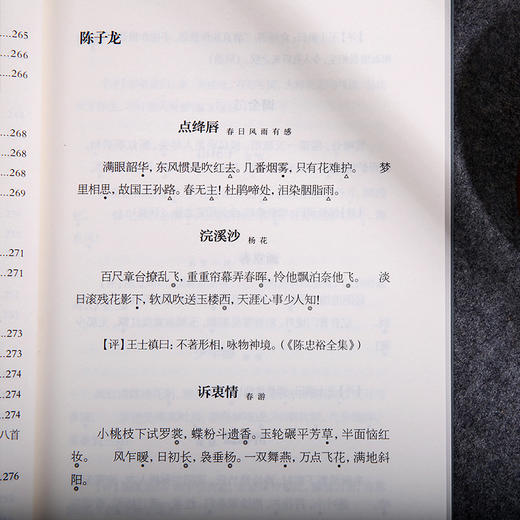 近三百年名家词选 龙榆生著作精选集 商品图4