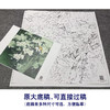 【大彩图】李晓明工笔画白描底稿《五月梨花赛春雪》梨花临摹勾线花鸟线稿K110 商品缩略图1