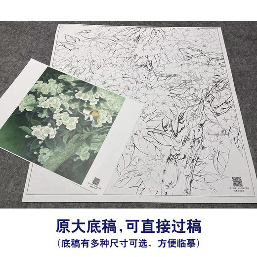 【大彩图】李晓明工笔画白描底稿《五月梨花赛春雪》梨花临摹勾线花鸟线稿K110 商品图1
