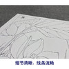 【大彩图】李晓明工笔画白描底稿小品《黄荷花》临摹勾线花鸟线稿K089 商品缩略图4