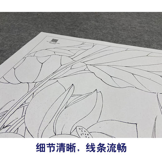 【大彩图】李晓明工笔画白描底稿小品《黄荷花》临摹勾线花鸟线稿K089 商品图4