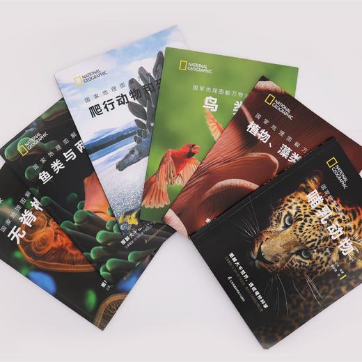 《国家地理图解万物大百科》（全18册） 商品图2