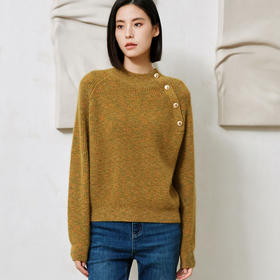 玳莎混色浣熊绒针织衫女秋新款半高领保暖斜门襟设计感毛衣  DD33319