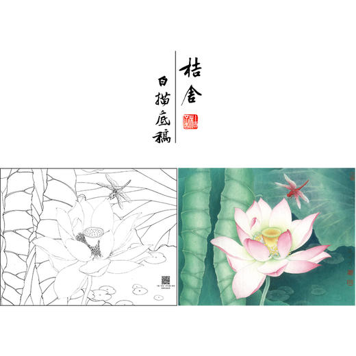 【大彩图】李晓明工笔画白描底稿小品《荷花蜻蜓》临摹勾线花鸟线稿K085 商品图0