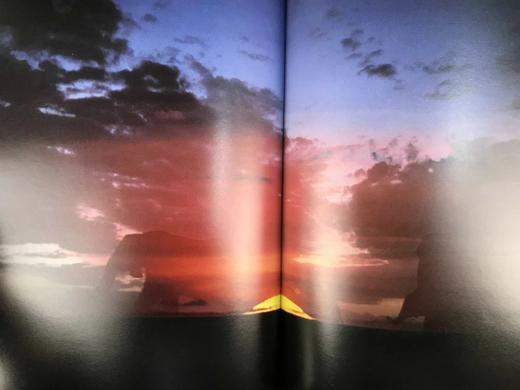 非洲大象图集 128页彩色插图 精装8开 商品图11