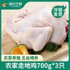 【到手3只】农家散养走地鸡 700g/只*3只 已净膛处理 肉质鲜嫩多汁 商品缩略图0