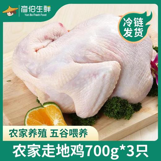 【到手3只】农家散养走地鸡 700g/只*3只 已净膛处理 肉质鲜嫩多汁 商品图0