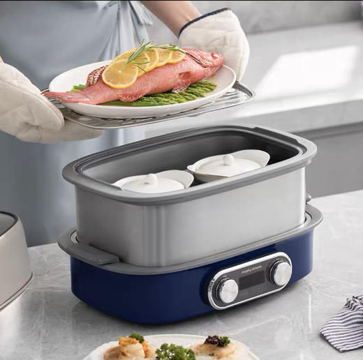 摩飞morphy richards速蒸锅 MR1075 商品图1