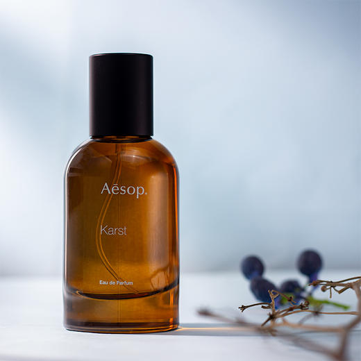 伊索 喀斯特 Aesop Karst 分装 商品图1
