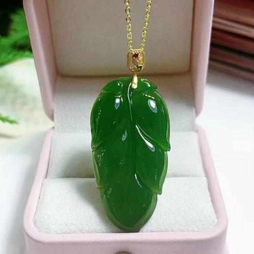 碧玉叶子 商品图0