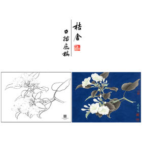 【大彩图】李晓明工笔画白描底稿小品《白茉莉》临摹勾线花鸟线稿K103