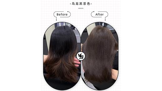 乌龙黑茶色-10-11 商品图0