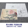 【大彩图】李晓明工笔画白描底稿小品《大丽菊》菊花临摹勾线花鸟线稿K102 商品缩略图1