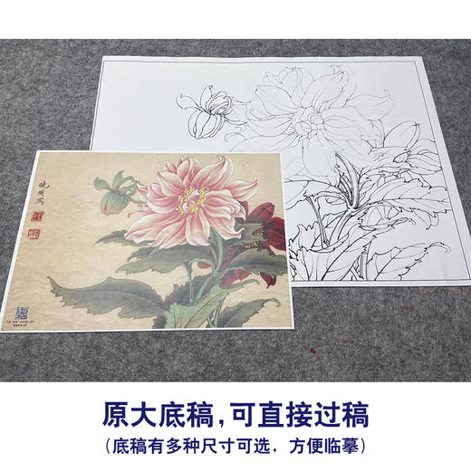 【大彩图】李晓明工笔画白描底稿小品《大丽菊》菊花临摹勾线花鸟线稿K102 商品图1