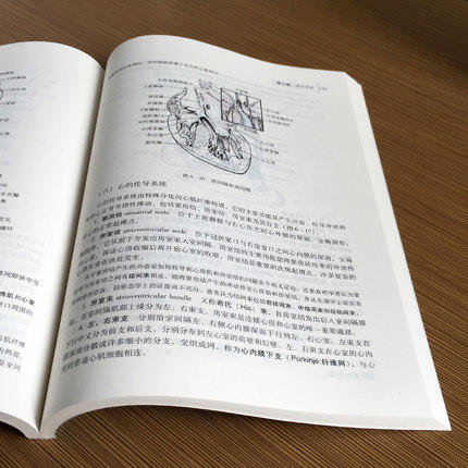 【出版社直销】正常人体解剖学(第9版)邵水金著 全国中医药行业高等教育十二五规划教材 中医临床本科教材 中国中医药出版社 商品图2