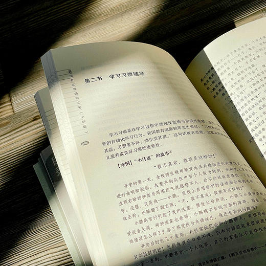 班主任心理辅导实务 小学版 大夏书系 吴增强 商品图14