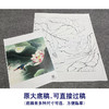 【大彩图】李晓明工笔画白描底稿斗方小品《绿翠红荷》荷花临摹勾线花鸟线稿K090 商品缩略图1