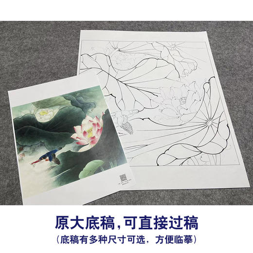 【大彩图】李晓明工笔画白描底稿斗方小品《绿翠红荷》荷花临摹勾线花鸟线稿K090 商品图1