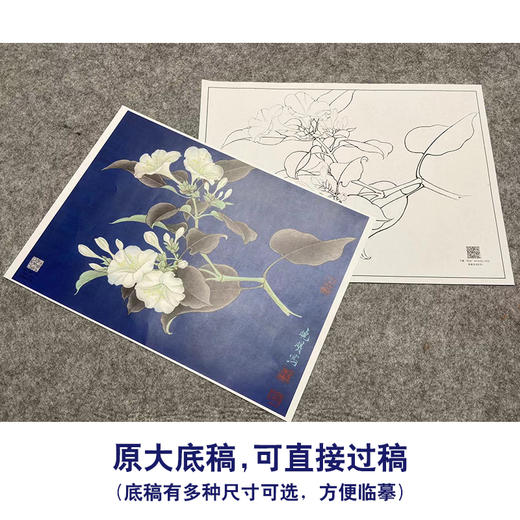 【大彩图】李晓明工笔画白描底稿小品《白茉莉》临摹勾线花鸟线稿K103 商品图1
