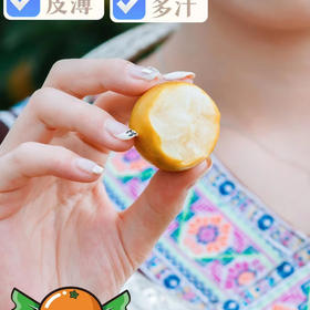 【脆蜜金柑中大果】桔满糖融安甜心桔，有一种果子天生就讨喜不仅大吉大利，而且招财进宝，水灵灵的金桔，蜜思念味