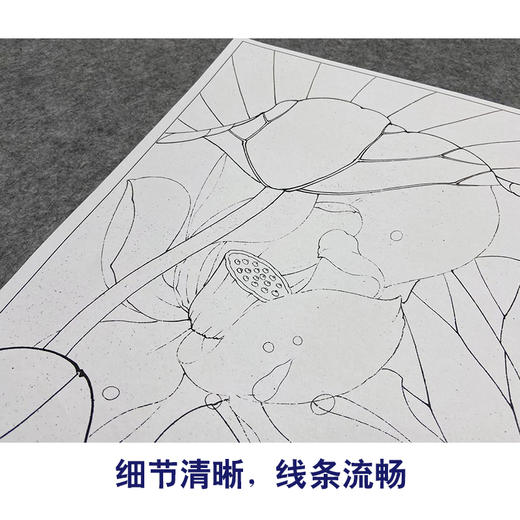 【大彩图】李晓明工笔画白描底稿斗方小品《菡萏初过雨》荷花临摹勾线花鸟线稿K086 商品图4
