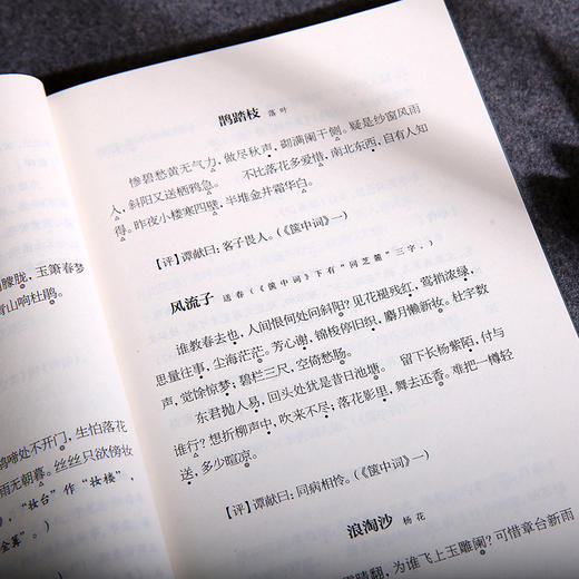 近三百年名家词选 龙榆生著作精选集 商品图3