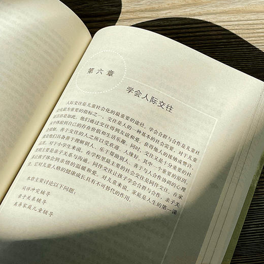 班主任心理辅导实务 小学版 大夏书系 吴增强 商品图13