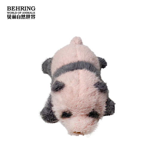 贝林自然世界两周龄大熊猫宝宝博物馆文创礼 商品图3