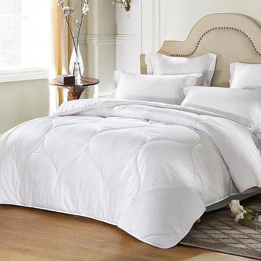 【Luolai罗莱厅】B7F罗莱 大豆亲肤春秋被新一代 商品图0