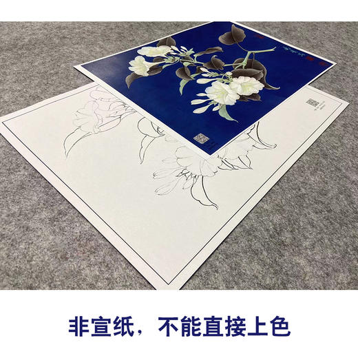 【大彩图】李晓明工笔画白描底稿小品《白茉莉》临摹勾线花鸟线稿K103 商品图2