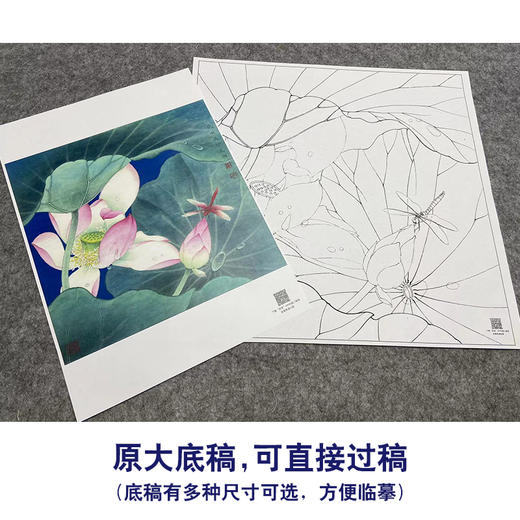 【大彩图】李晓明工笔画白描底稿斗方小品《菡萏初过雨》荷花临摹勾线花鸟线稿K086 商品图1