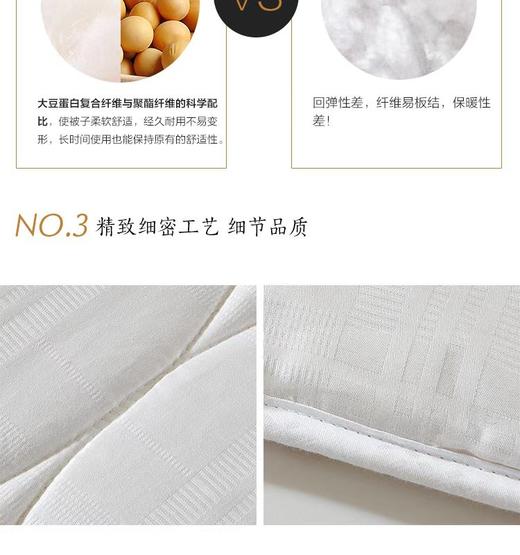 【Luolai罗莱厅】B7F罗莱 大豆亲肤春秋被新一代 商品图1