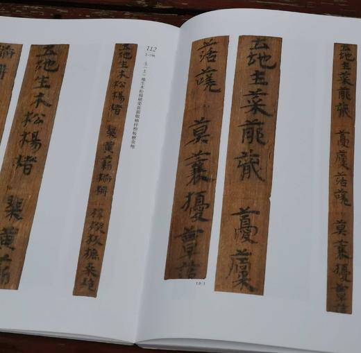 《郴州西晋简牍选粹》，16开，函套精装,铜版彩印，郴州市博物馆编，上海辞书出版社2022年12月出版，定价：480，售价：336。 商品图12