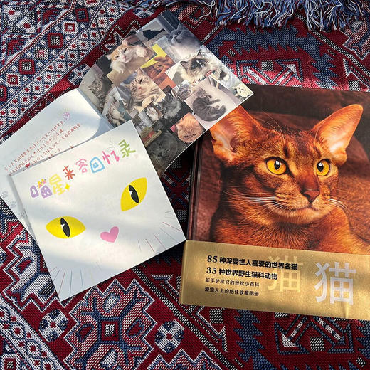 猫 朱莉安娜·普洛斯 著 科普读物 商品图2