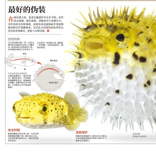 《国家地理图解万物大百科》（全18册） 商品图5