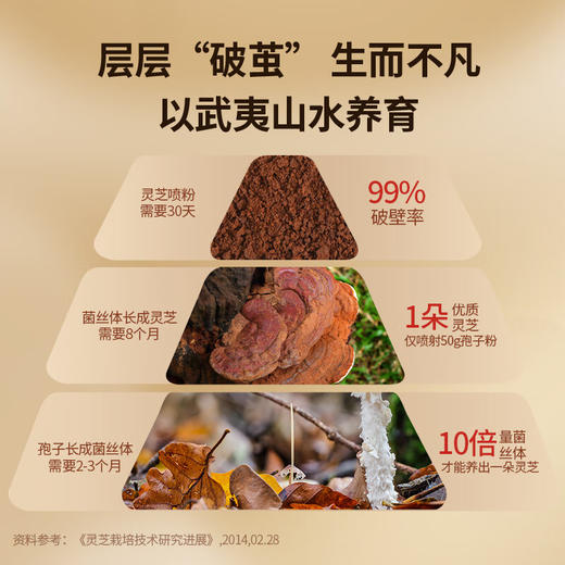 【正宗同仁堂品牌】北京同仁堂 总统牌破壁灵芝孢子粉胶囊升级版-0.38g/粒×120粒 增强免疫力 总三萜3g/100克SY 商品图6