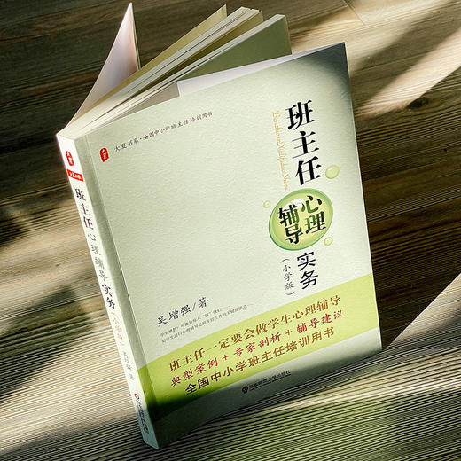 班主任心理辅导实务 小学版 大夏书系 吴增强 商品图6