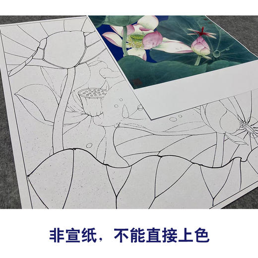 【大彩图】李晓明工笔画白描底稿斗方小品《菡萏初过雨》荷花临摹勾线花鸟线稿K086 商品图2