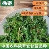 【39.9元4袋】新鲜羽衣甘蓝嫩叶  中国农科院农场直发 预售一周发货 125g*4袋 商品缩略图0