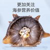 【正宗同仁堂品牌】北京同仁堂 造养青年  干海参100g 大连淡干海参辽参干货海鲜SY 商品缩略图4