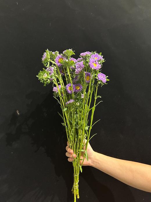 小翠菊鲜花一扎 商品图4
