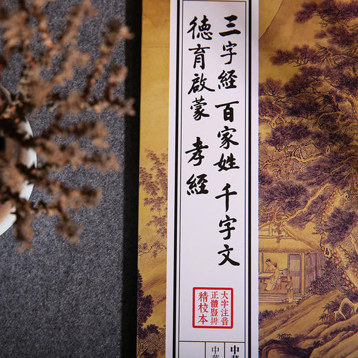 三字经 百家姓 千字文 德育启蒙 孝经 论语注疏 中华经典诵读教材儿童国学经典启蒙读物少儿成长必读6-7-8-10-12岁小学生课外书 商品图2