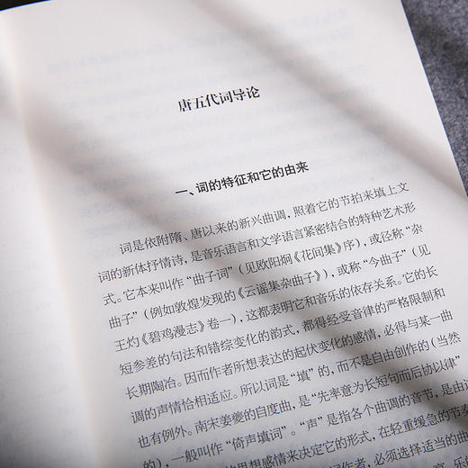 唐五代词选注 龙榆生著作精选集 商品图5