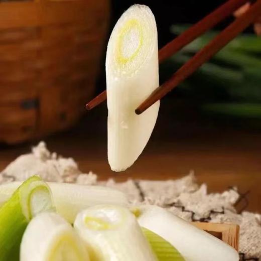 【下单后48小时左右发货】山东济南 章丘大葱9斤装左右 商品图2