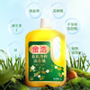 金浩（JINHAO）【保真山茶油】有机低温压榨山茶油茶籽油食用油5L 零反式脂肪酸 商品缩略图1